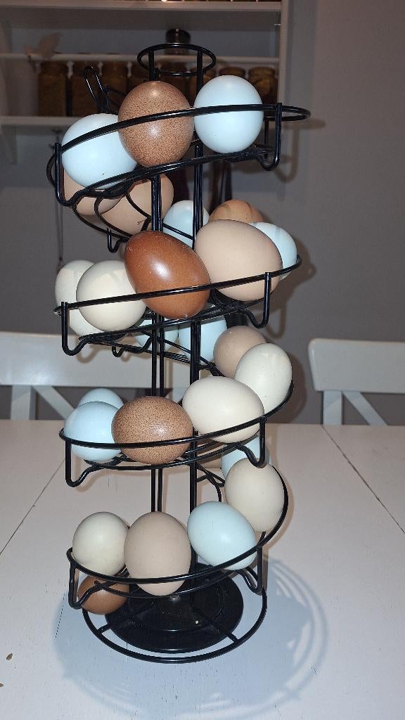 Broedeieren kleurleggers legkippen, Dieren en Toebehoren, Pluimvee, Meerdere dieren, Kip