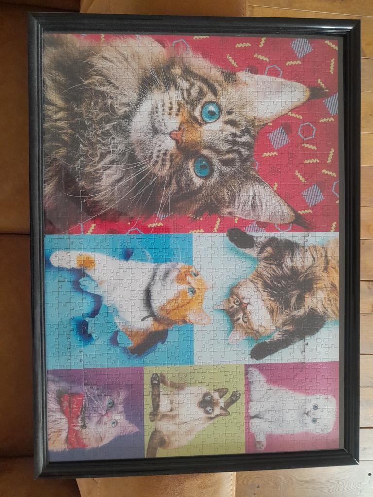 Puzzel 1000 stukjes met kader, Antiquités & Art, Enlèvement
