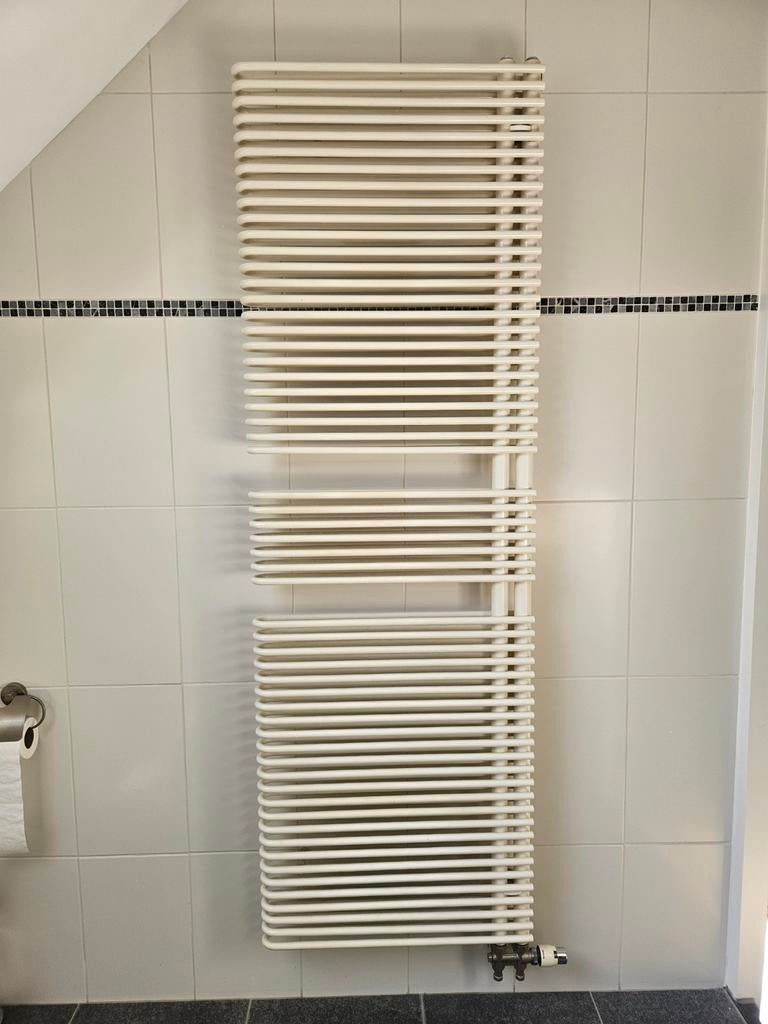 Vasco badkamer designradiator  180 hoog x 60 breed (in NL), Doe-het-zelf en Bouw, Ophalen, Radiator
