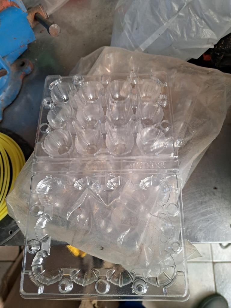 Boîtes œufs de cailles, Animaux & Accessoires, Neuf, Autres types