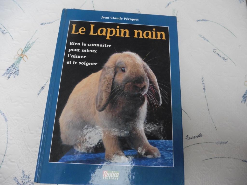 "Le lapin nain" - Bien le connaître pour mieux l'aimer, Enlèvement ou Envoi, Comme neuf, Lapins ou Rongeurs, Jean-Claude PERIQUET