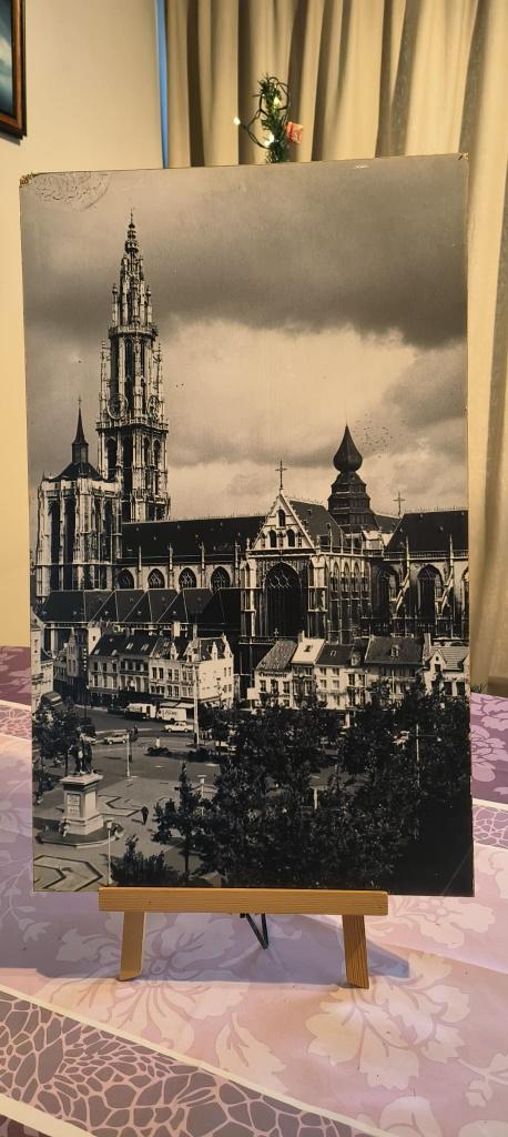 Oude zwart/wit foto van Kathedraal van Antwerpen, Verzamelen, Ophalen, Gebruikt, Gebouw, Foto