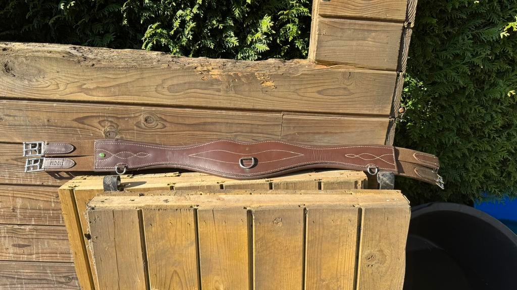 LJ singel te koop., Dieren en Toebehoren, Ophalen of Verzenden, Zo goed als nieuw