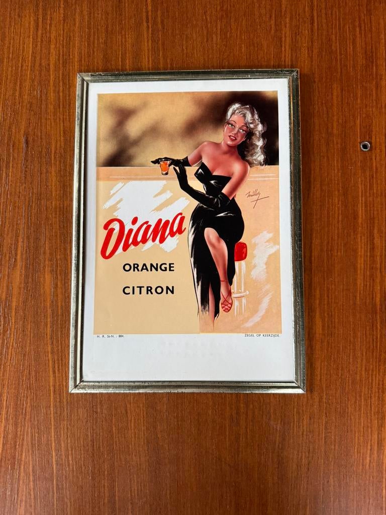 Reclamebord Diana Orange & Citron, Ophalen of Verzenden, Zo goed als nieuw, Reclamebord