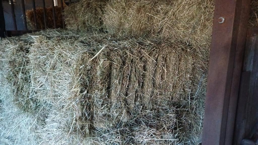 Hooi, Ophalen of Verzenden