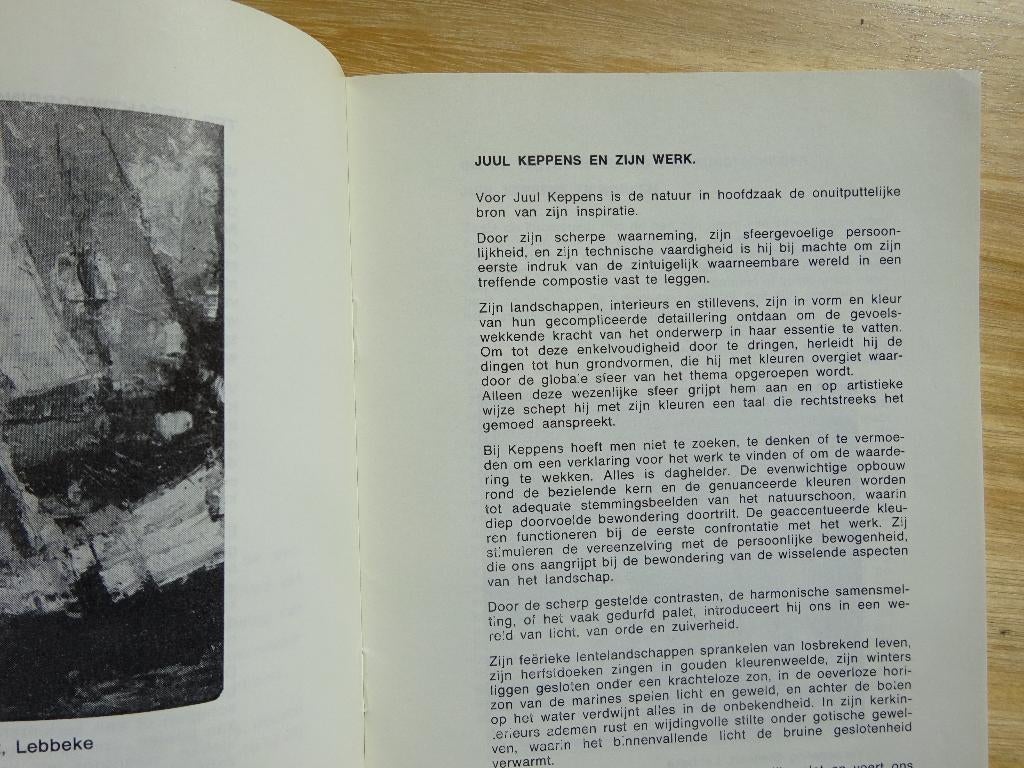 Juul Keppens 60, monografische brochure 1970, Ophalen of Verzenden, Gelezen, Schilder- en Tekenkunst