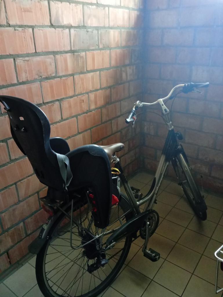 Te koop fiets met kinderstoel, Ophalen