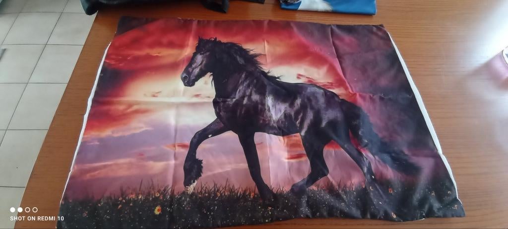 Vetements l’équitation cheval, Animaux & Accessoires