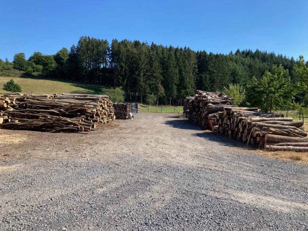 Bois de chauffage : chêne et frêne, provision 2026-2027, Jardin & Terrasse, 6 m³ ou plus, Envoi, Chêne, Bûches