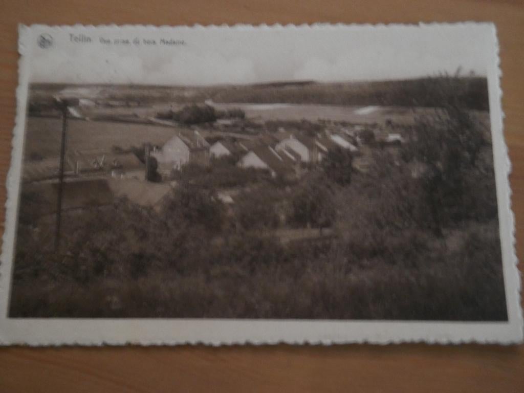 Tellin Vue Prise du Bois madame, Envoi, Affranchie, Luxembourg