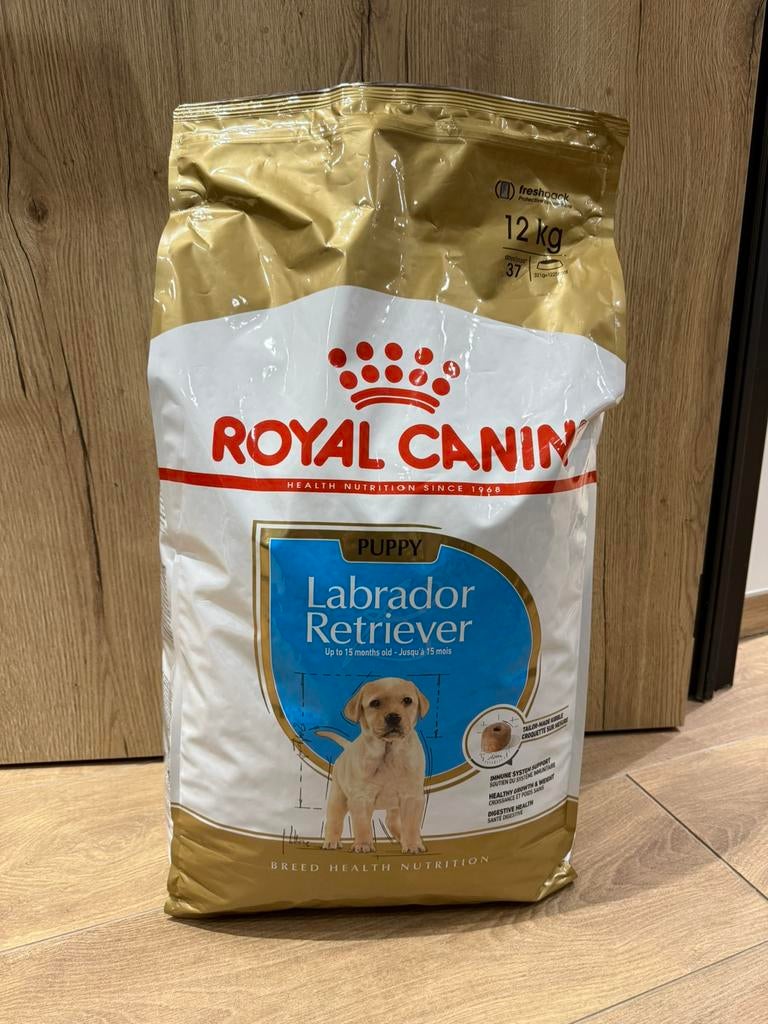 Royal Canin labrador retriever puppy 12kg, Enlèvement, Chien