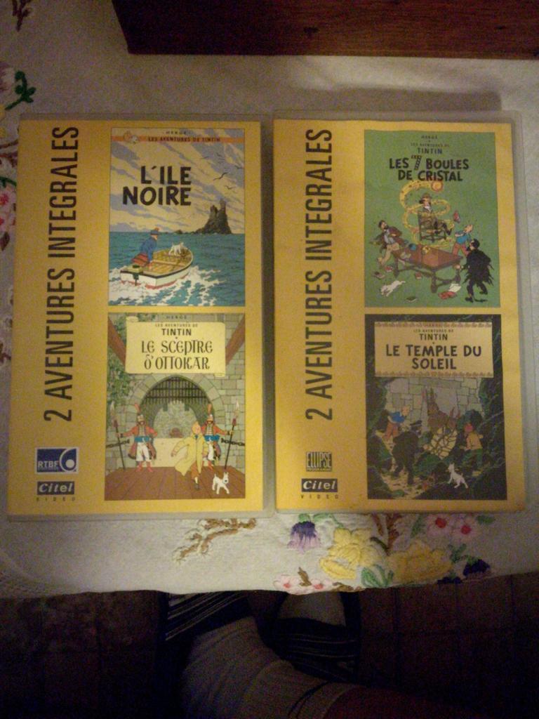 VHS Les aventures de Tintin, Enlèvement ou Envoi, Utilisé