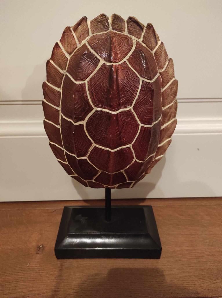 schildpad decoratie, Ophalen of Verzenden