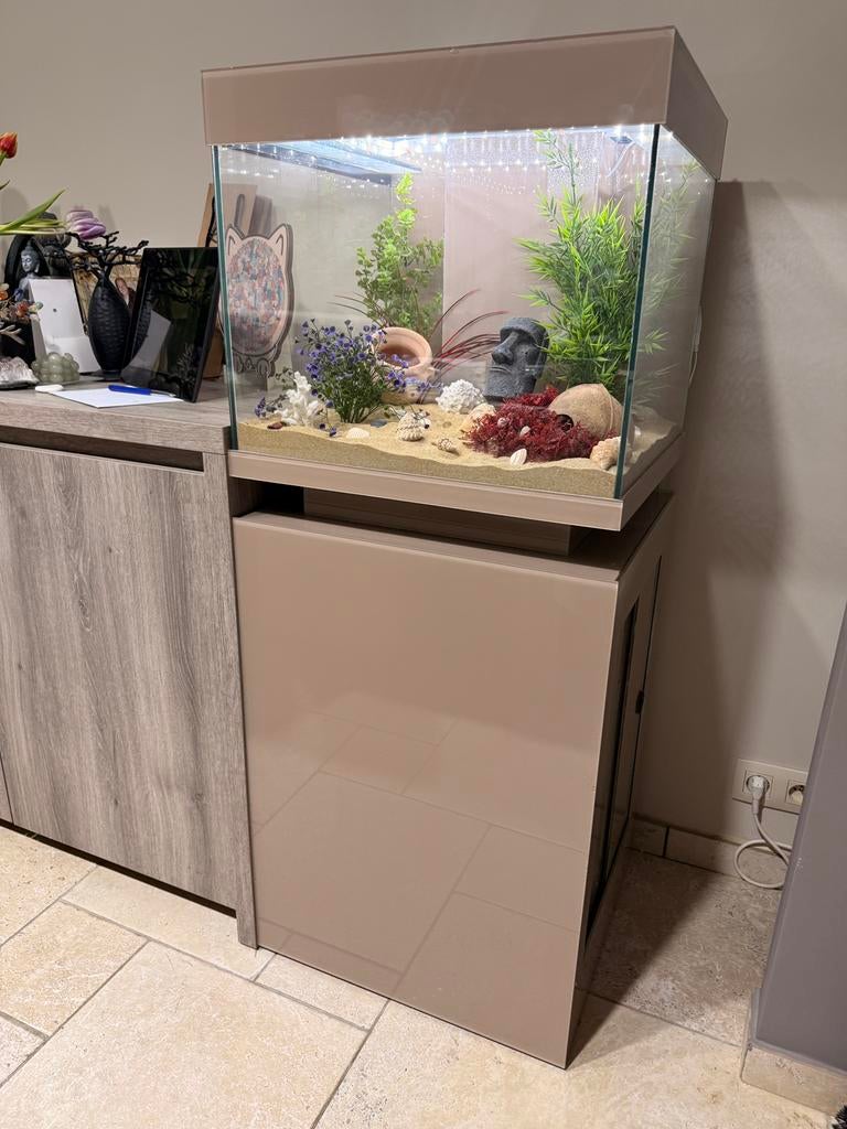 Aquarium cube, Enlèvement, Comme neuf