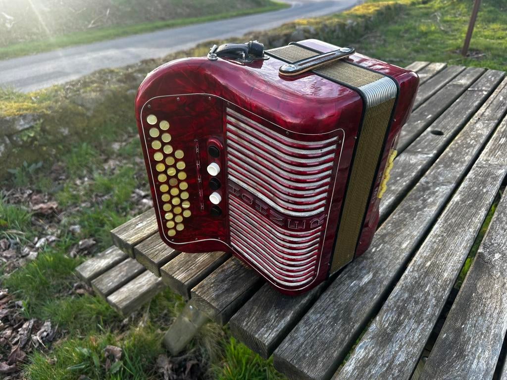 accordéon hohner, Muziek en Instrumenten, Accordeons, Ophalen, Zo goed als nieuw