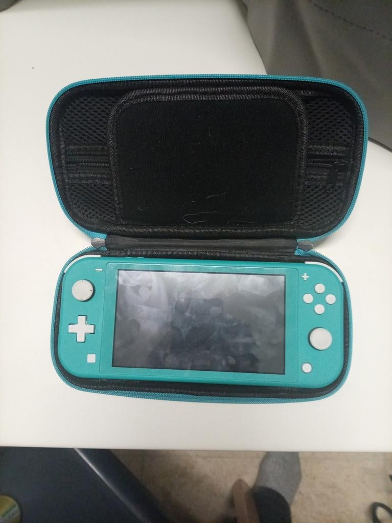 Nintendo Switch, Games en Spelcomputers, Spelcomputers | Nintendo Switch Lite, Ophalen of Verzenden