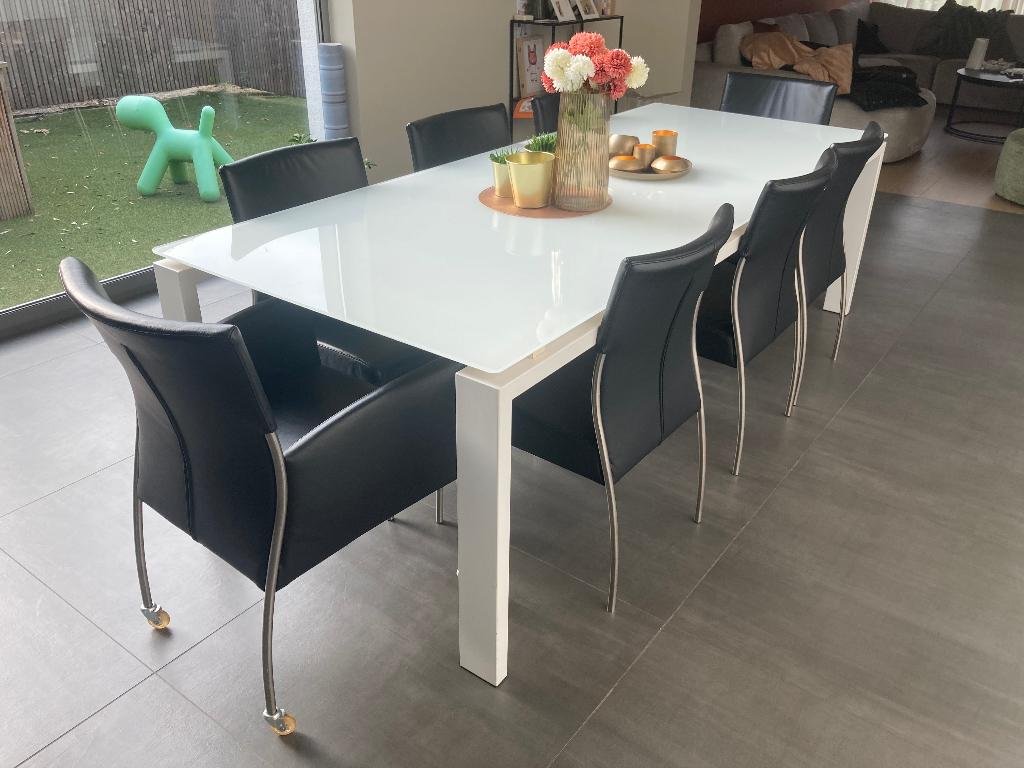 tafel met stoelen, Huis en Inrichting, Tafels | Eettafels, Ophalen, Gebruikt, Design, 200 cm of meer