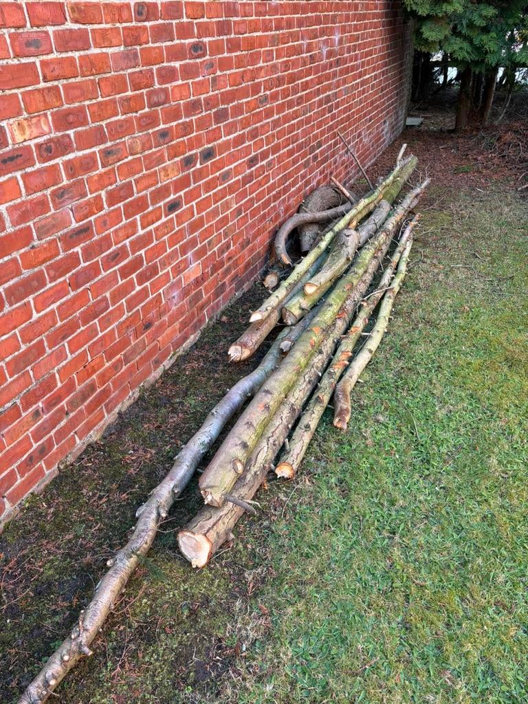 Brandhout, Tuin en Terras, Minder dan 3 m³, Ophalen, Overige houtsoorten, Stammen