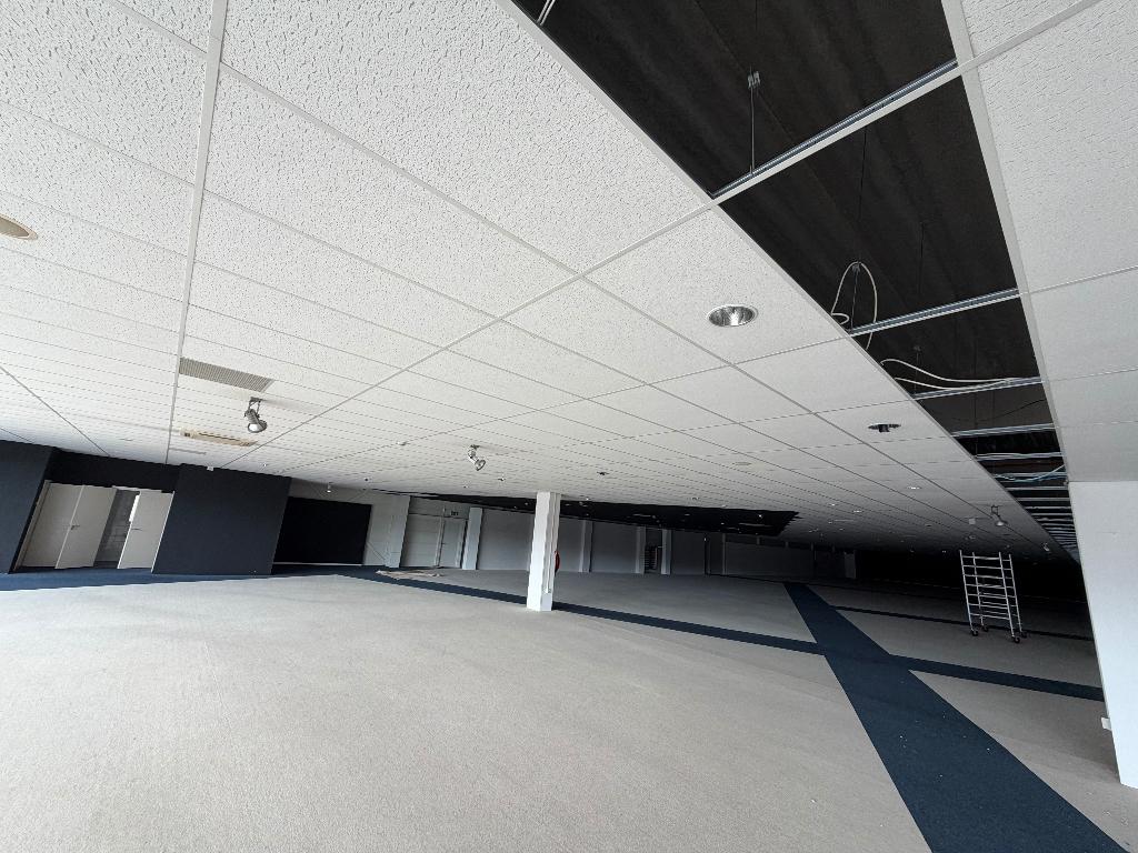 Gratis systeemplafond platen 119,5 bij 59,5, Huis en Inrichting, Ophalen