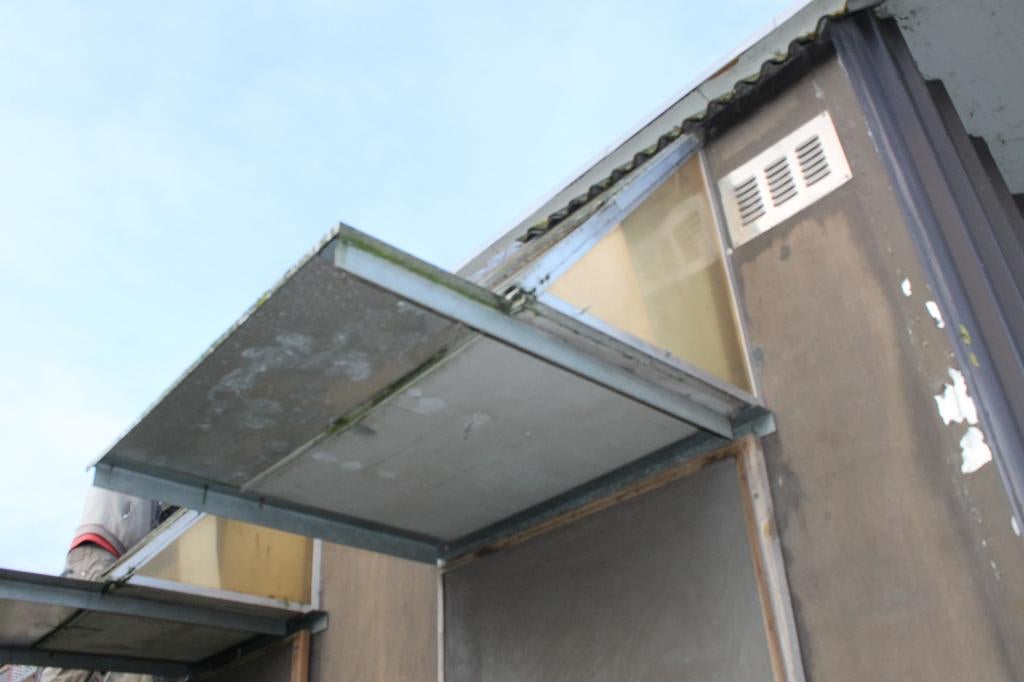 spoetnieks, Dieren en Toebehoren, Vogels | Duiven, Postduif