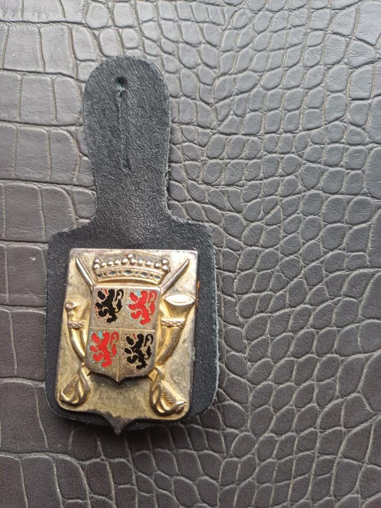 Cintre de poitrine militaire, Enlèvement ou Envoi