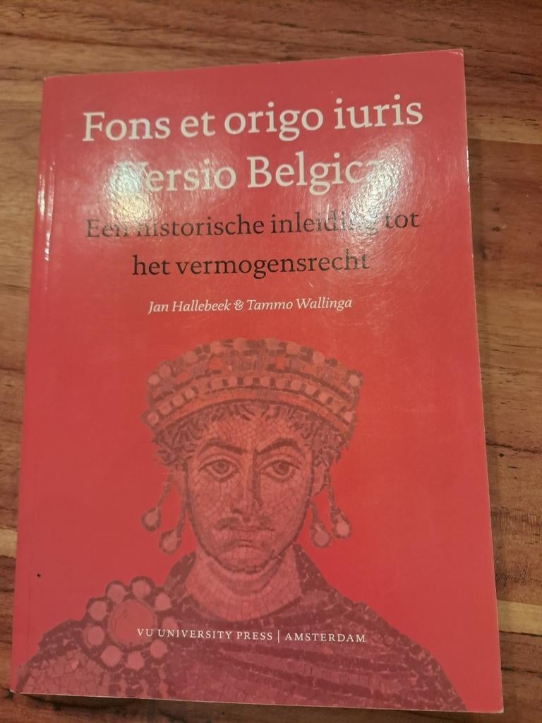 Tammo Wallinga - Fons et origo iuris Versio Belgica, Ophalen of Verzenden, Zo goed als nieuw, Tammo Wallinga; Jan Hallebeek
