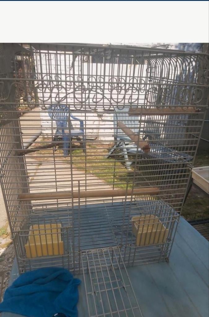 Cage oiseau, Enlèvement, Utilisé, Métal