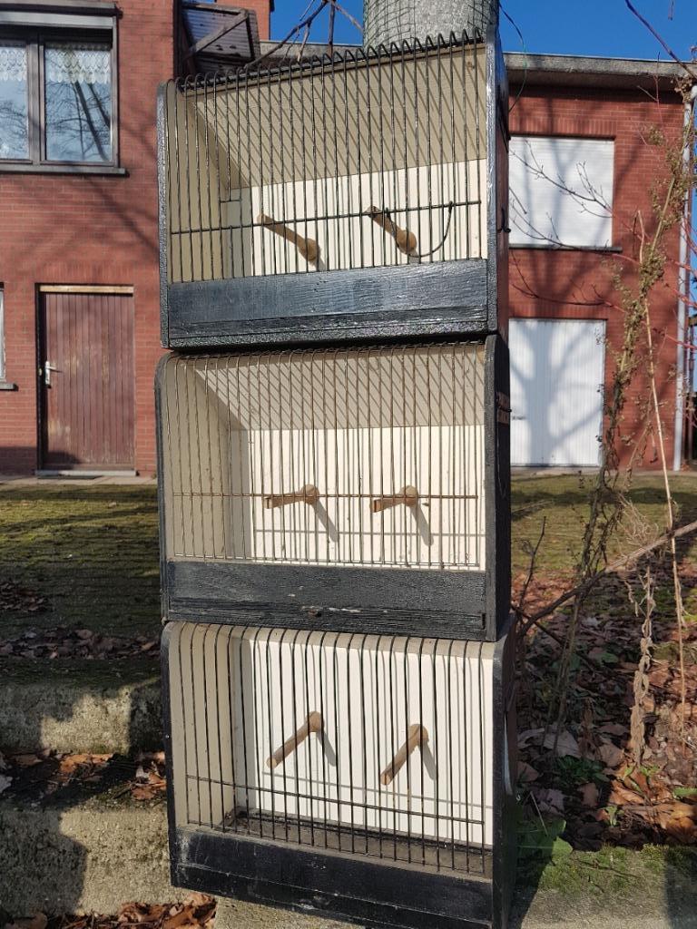 vogel kooien, Dieren en Toebehoren, Ophalen, Gebruikt, Hout, Vogelkooi