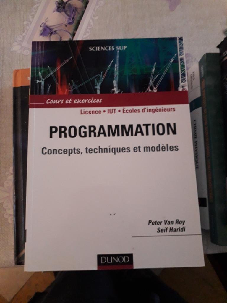 PROGRAMMATION Concepts, Techniques et modèles, Boeken, Schoolboeken, Ophalen of Verzenden, Zo goed als nieuw, Overige niveaus