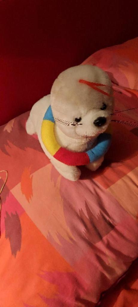 knuffel zeehond +/- 25cm hoog, Ophalen of Verzenden, Zo goed als nieuw