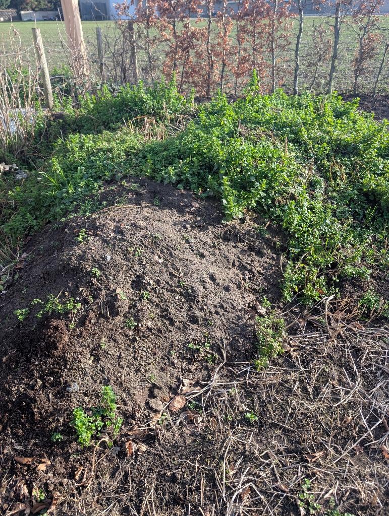 gratis teelaarde, Tuin en Terras, Aarde en Mest, Ophalen of Verzenden