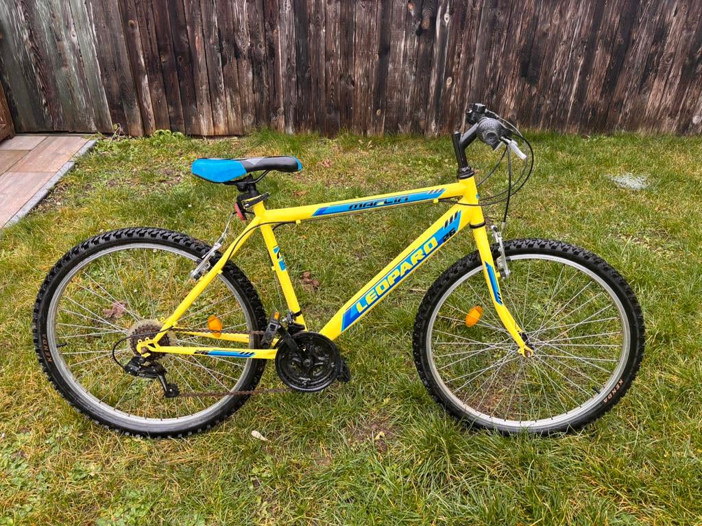 Vélo Leonard, Vélos & Vélomoteurs, 45 à 49 cm, Comme neuf, Enlèvement, Hommes