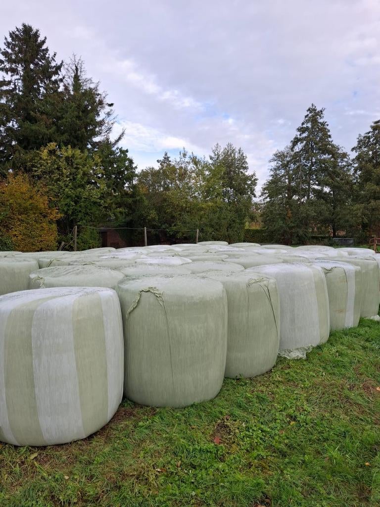 Maïsbollen en silobollen te koop, Animaux & Accessoires, Enlèvement