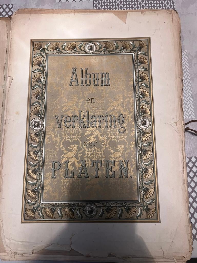 La plante dans son traitement ornemental : incomplète, Enlèvement ou Envoi