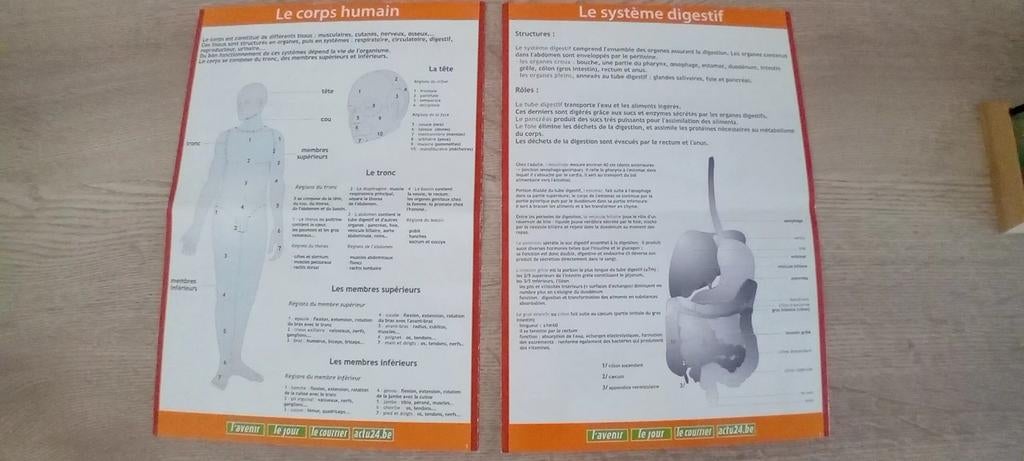Fiches de documentation du corps humain, Enlèvement ou Envoi, Neuf, Sciences naturelles