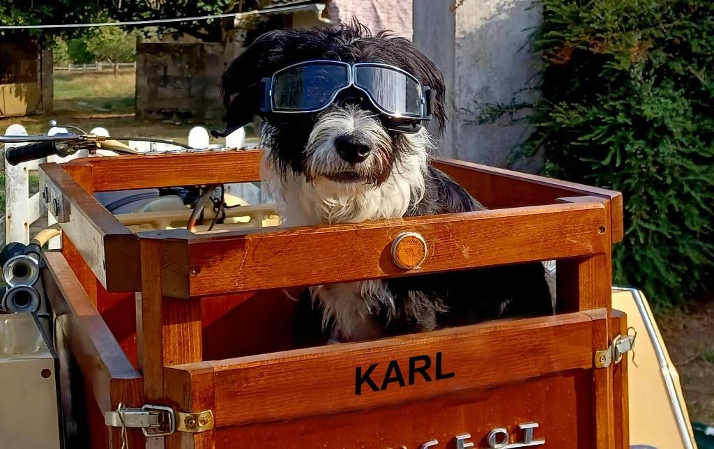 RTM Triporteur 125cc PEUGEOT & F.M.C en Français., Motos, Modes d'emploi & Notices d'utilisation, Enlèvement ou Envoi