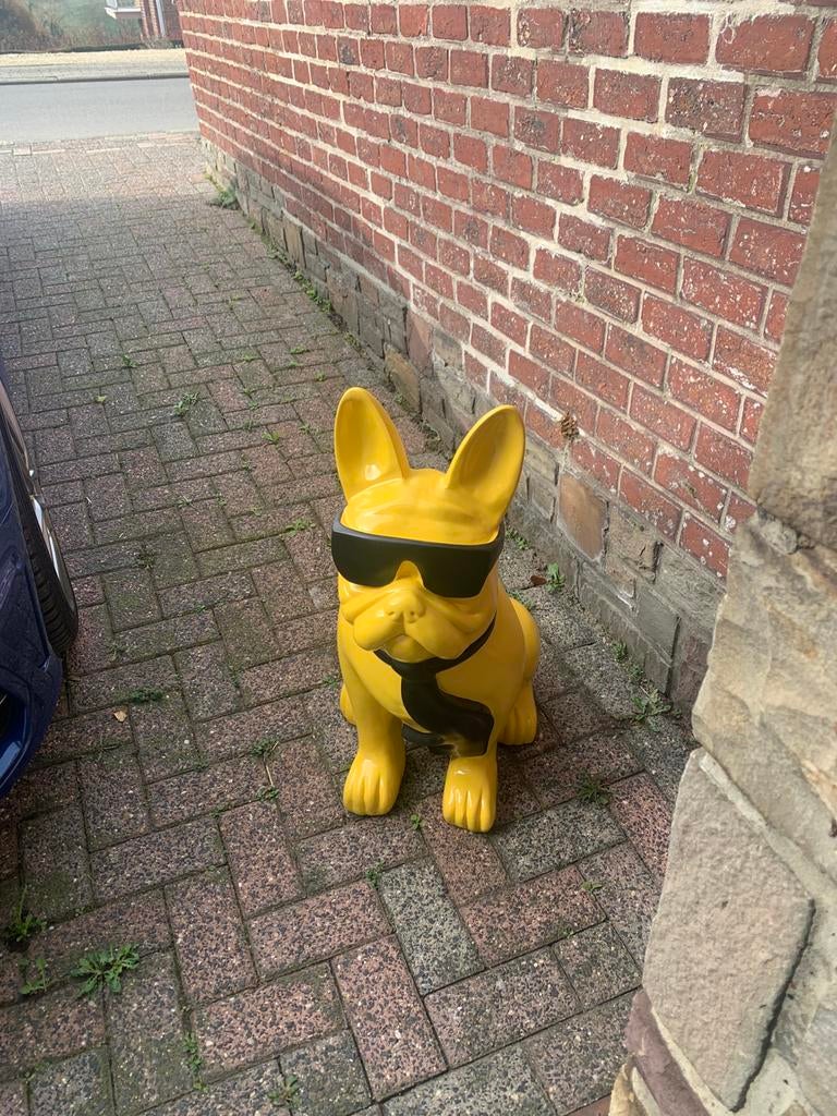 Deco de chien, Enlèvement, Comme neuf