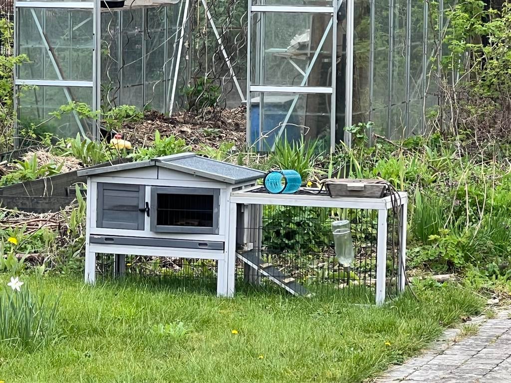 Hok voor cavia, Dieren en Toebehoren, Ophalen, Zo goed als nieuw, Hok, Cavia