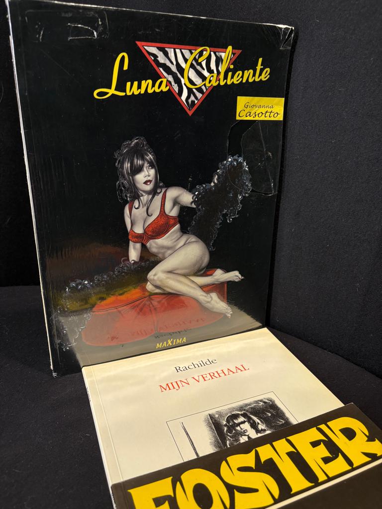 Set van 7 Erotische strips voor volwassenen Nederlandstalig, Boeken, Ophalen of Verzenden, Zo goed als nieuw, Meerdere stripboeken