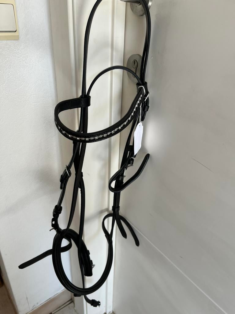 Hoofdstel medium en 2 singles, Dieren en Toebehoren, Ophalen