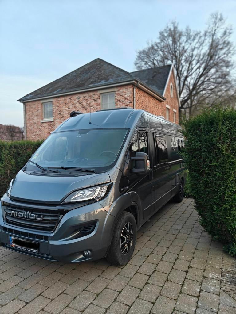 Malibu Carthago charmant 600DB 2021, Siège standard, Malibu, Fiat, Boîte manuelle