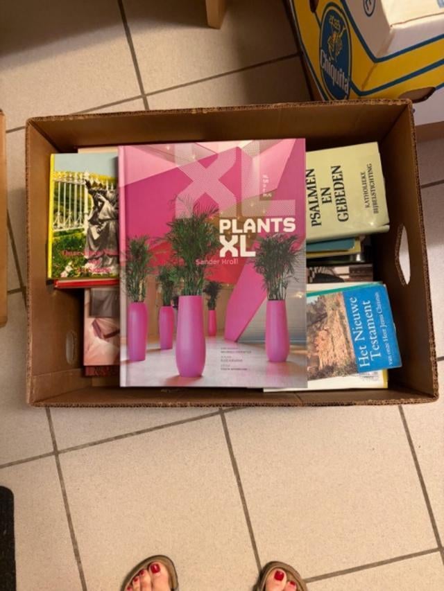 Gratis af te halen banaandoos met boeken, Ophalen, Gebruikt