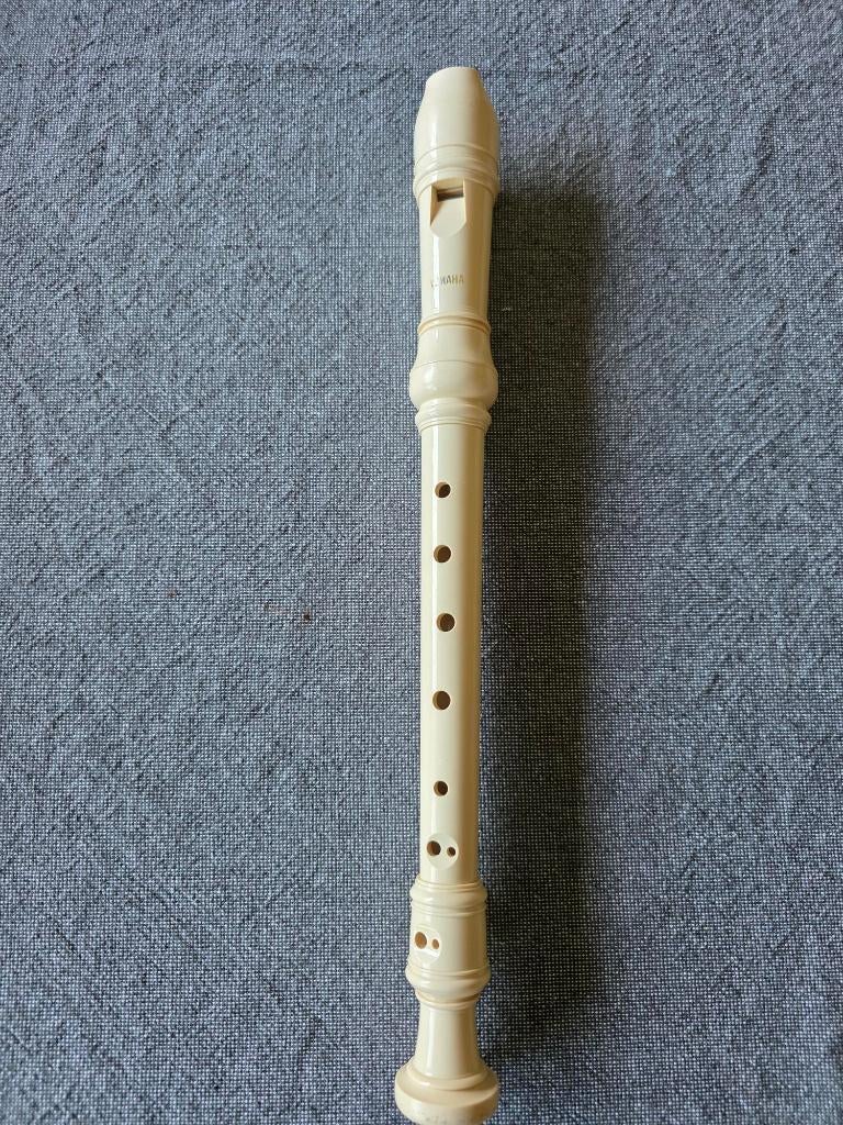 Blokfluit, Muziek en Instrumenten, Blaasinstrumenten | Blokfluiten, Gebruikt, Sopraan of Sopranino, Kunststof, Ophalen