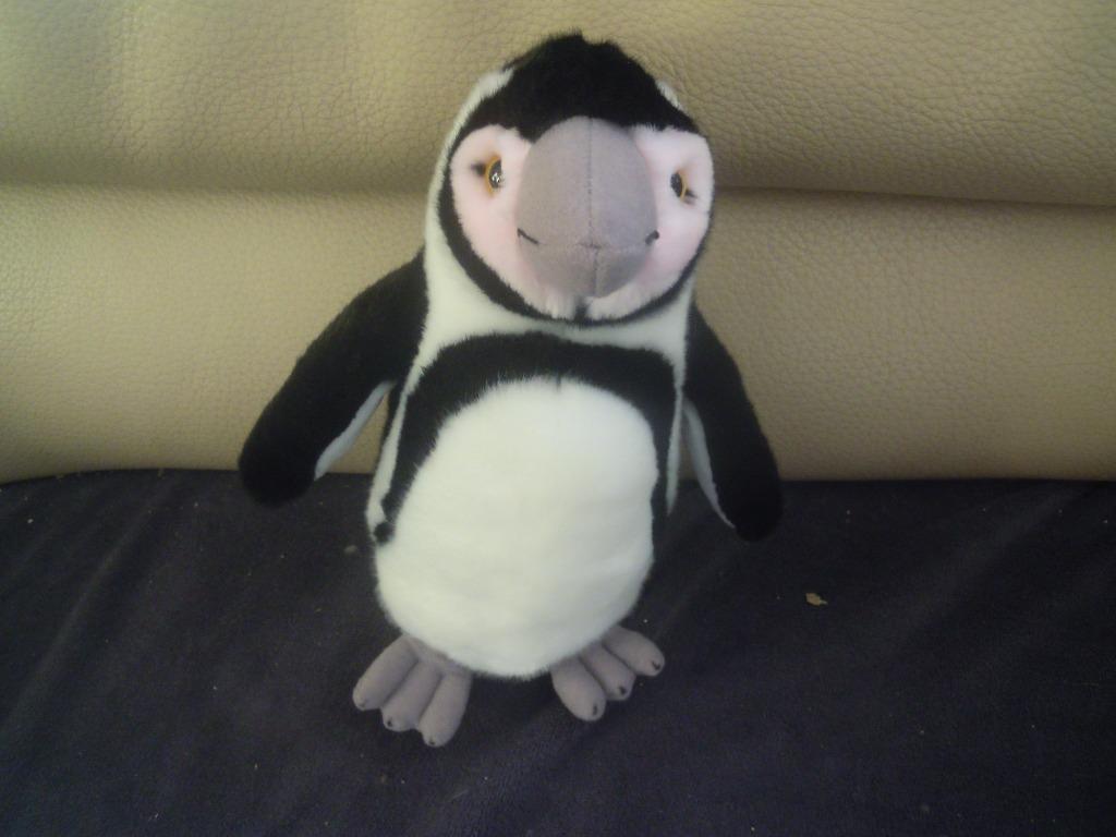 knuffel zoo plackendael puinguin(doos k ), Ophalen of Verzenden, Nieuw