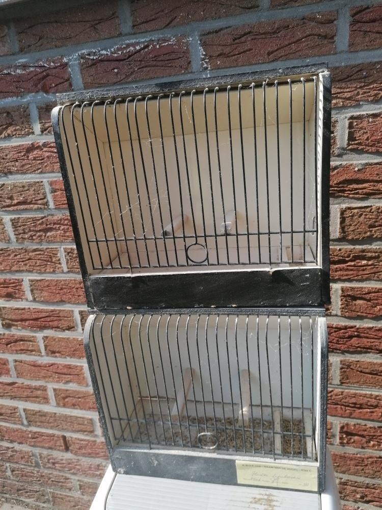 tt kooien, Enlèvement, Utilisé, Bois, Cage à oiseaux