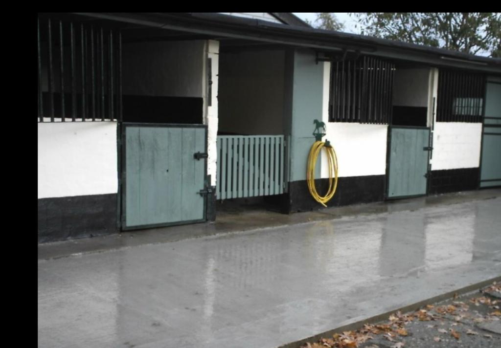 Zoersel, 3 stal.3weiden, camera’s eigen beheer 2 paddocks, Weidegang, 2 of 3 paarden of pony's