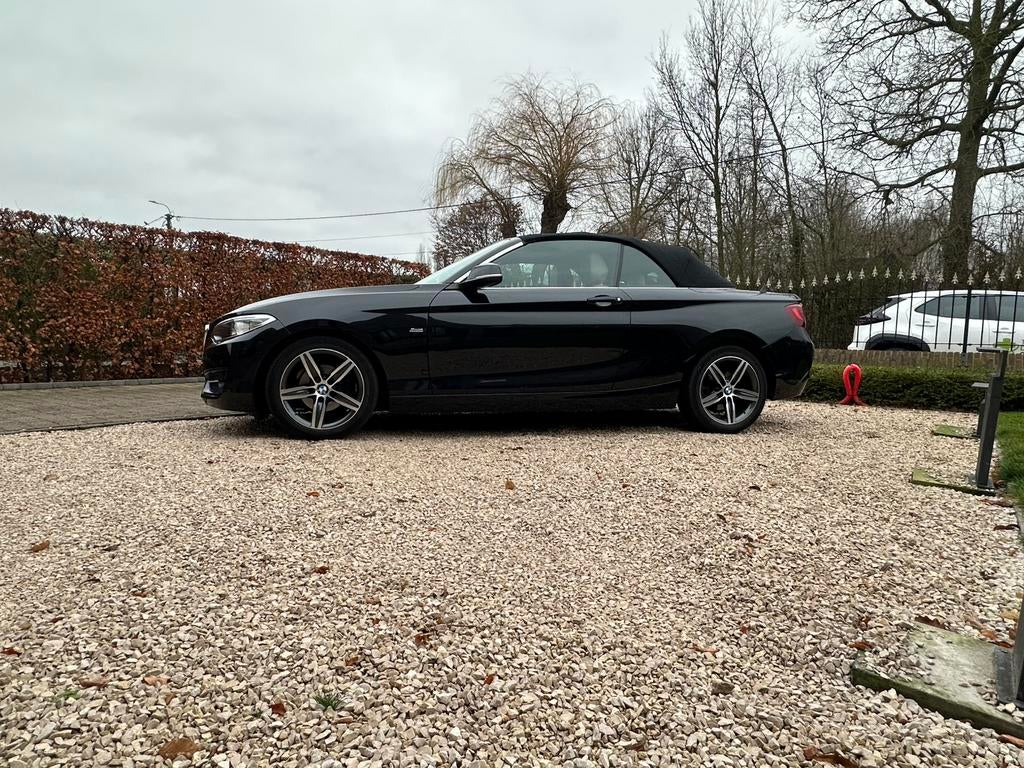 BMW 218D, Autos, Achat, Cabriolet, Carnet d'entretien, Diesel