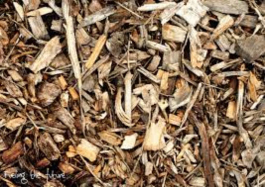 Gezocht : Gratis houtsnippers als bedekking vr permacultuur, Tuin en Terras, Aarde en Mest, Overige typen, Ophalen
