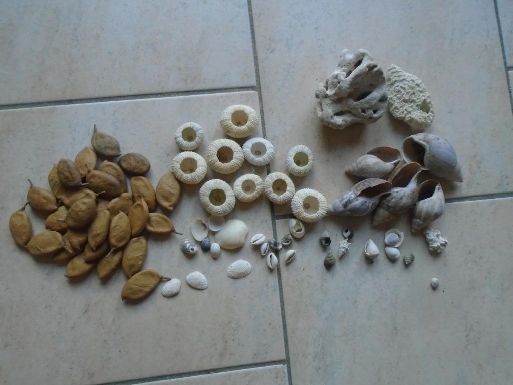 LOT:COQUILLAGES"MIR"+PIERRES + FRUITS+ MACRAME, Enlèvement ou Envoi