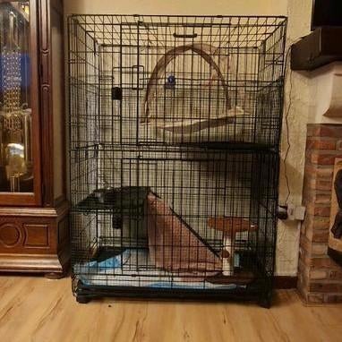 Grote opvouwbare kooi, Dieren en Toebehoren, Ophalen of Verzenden, Overige typen